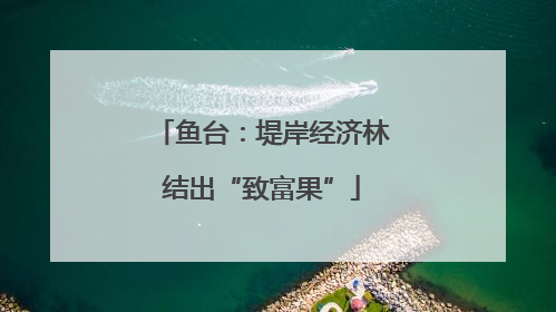 鱼台：堤岸经济林结出“致富果”