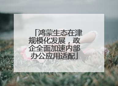 鸿蒙生态在津规模化发展，政企全面加速内部办公应用适配
