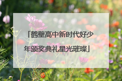 鹤壁高中新时代好少年颁奖典礼星光璀璨