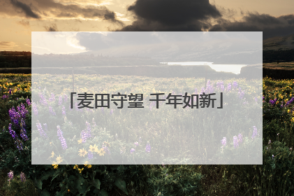 麦田守望 千年如新