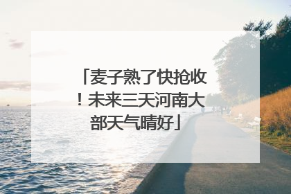 麦子熟了快抢收！未来三天河南大部天气晴好