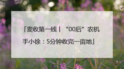 麦收第一线丨“00后”农机手小徐：5分钟收完一亩地