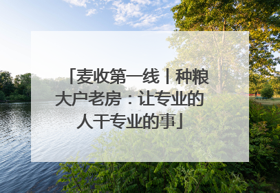 麦收第一线丨种粮大户老房：让专业的人干专业的事