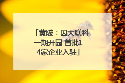 黄陂：因大联科一期开园 首批14家企业入驻