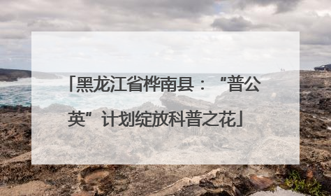 黑龙江省桦南县：“普公英”计划绽放科普之花