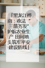 黑龙江桦南：政法“三箭齐发”护航农业生产 田间地头筑牢平安建设防线