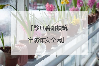 黟县碧阳镇筑牢防诈安全网