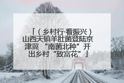 （乡村行·看振兴）山西天镇羊肚菌登陆京津冀 “南菌北种”开出乡村“致富花”