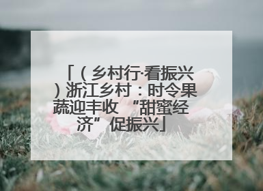 （乡村行·看振兴）浙江乡村：时令果蔬迎丰收 “甜蜜经济”促振兴