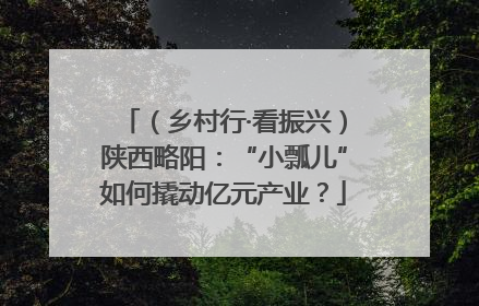 （乡村行·看振兴）陕西略阳：“小瓢儿”如何撬动亿元产业？