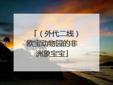 （外代二线）欧宝动物园的非洲象宝宝