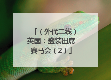 （外代二线）英国：盛装出席赛马会（2）