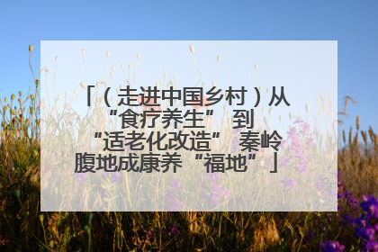 （走进中国乡村）从 “食疗养生” 到 “适老化改造” 秦岭腹地成康养“福地”