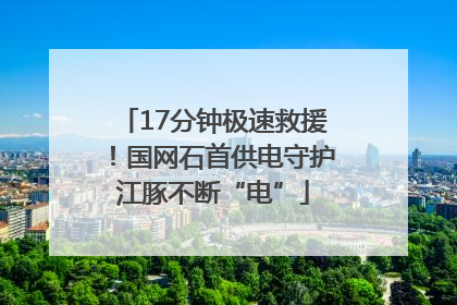 17分钟极速救援！国网石首供电守护江豚不断“电”