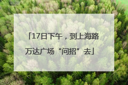 17日下午，到上海路万达广场“问招”去