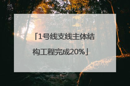 1号线支线主体结构工程完成20%
