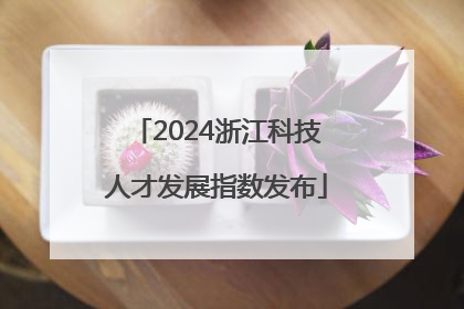2024浙江科技人才发展指数发布