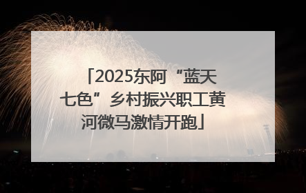 2025东阿“蓝天七色”乡村振兴职工黄河微马激情开跑