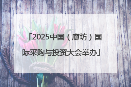 2025中国（廊坊）国际采购与投资大会举办