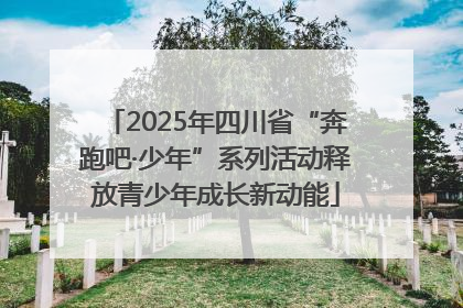 2025年四川省“奔跑吧·少年”系列活动释放青少年成长新动能
