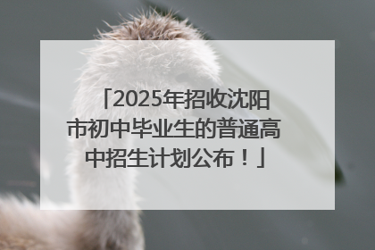 2025年招收沈阳市初中毕业生的普通高中招生计划公布！