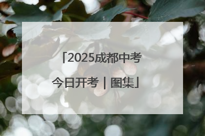 2025成都中考今日开考｜图集