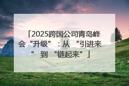 2025跨国公司青岛峰会“升级”：从 “引进来” 到 “链起来”
