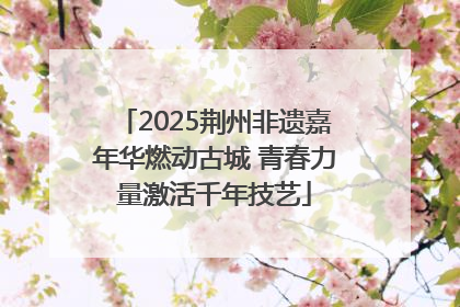 2025荆州非遗嘉年华燃动古城 青春力量激活千年技艺