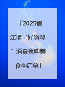 2025都江堰“好嗨啤”消夏夜啤美食季启幕