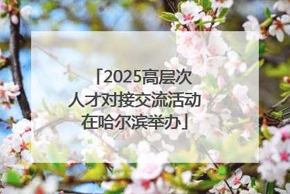 2025高层次人才对接交流活动在哈尔滨举办
