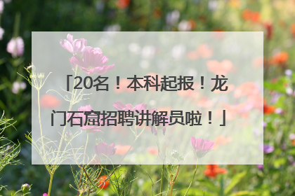 20名！本科起报！龙门石窟招聘讲解员啦！