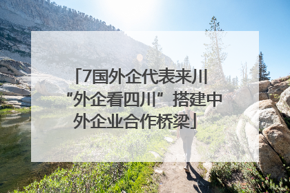 7国外企代表来川 “外企看四川”搭建中外企业合作桥梁