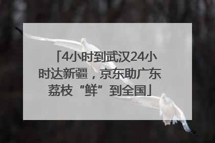 4小时到武汉24小时达新疆，京东助广东荔枝“鲜”到全国