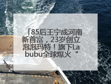 85后王宁成河南新首富，23岁创立泡泡玛特！旗下Labubu全球爆火“一娃难求”