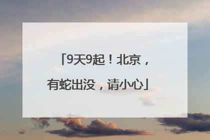 9天9起！北京，有蛇出没，请小心